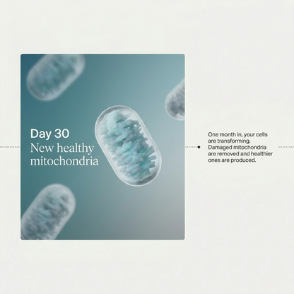 ShapeDrops™ Mitopure Softgels Urolithin A