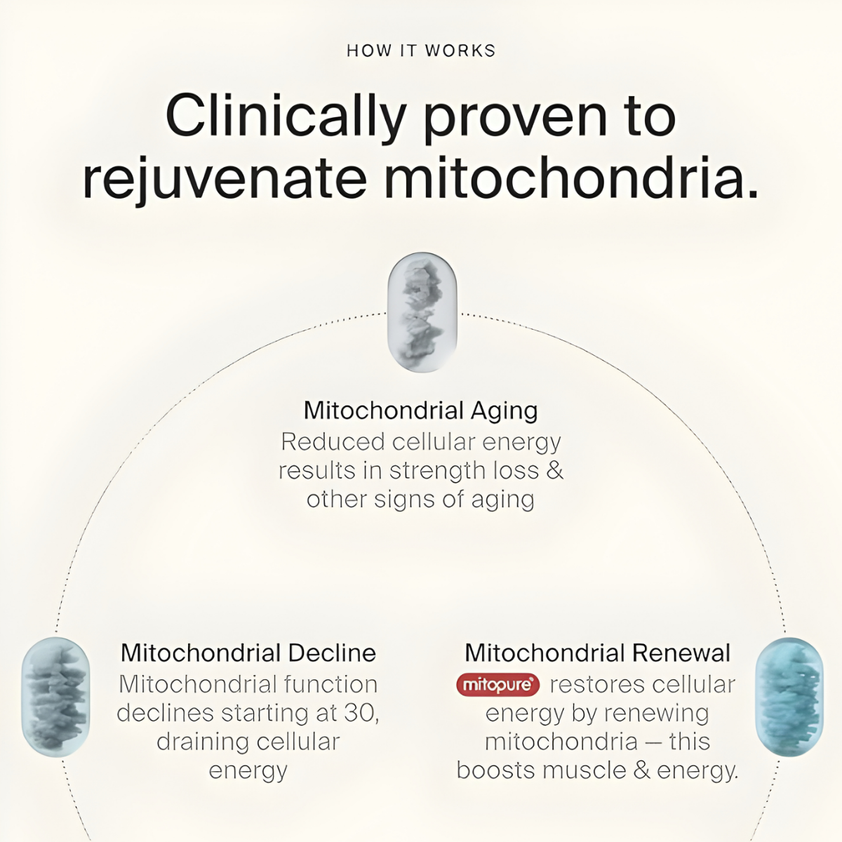 ShapeDrops™ Mitopure Softgels Urolithin A