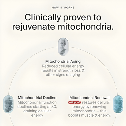 ShapeDrops™ Mitopure Softgels Urolithin A